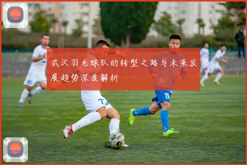 武汉羽毛球队的转型之路与未来发展趋势深度解析